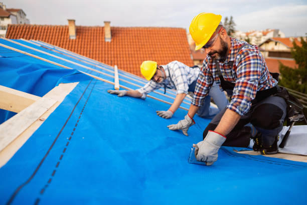 Professional Roofing Contractor in Rio Bravo, TX