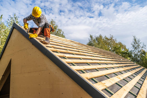 Best Residential Roofing Contractor  in Rio Bravo, TX