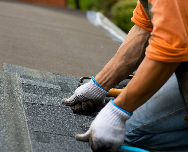 Best Metal Roofing Contractor  in Rio Bravo, TX