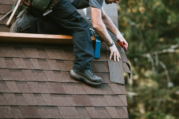 Best Storm Damage Roof Repair  in Rio Bravo, TX